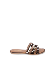 Hamigapo Mules - Cow