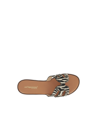 Hamigapo Mules - Zebra
