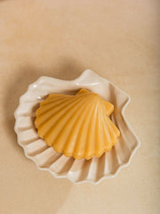 Calypso Shell Soap Set - White