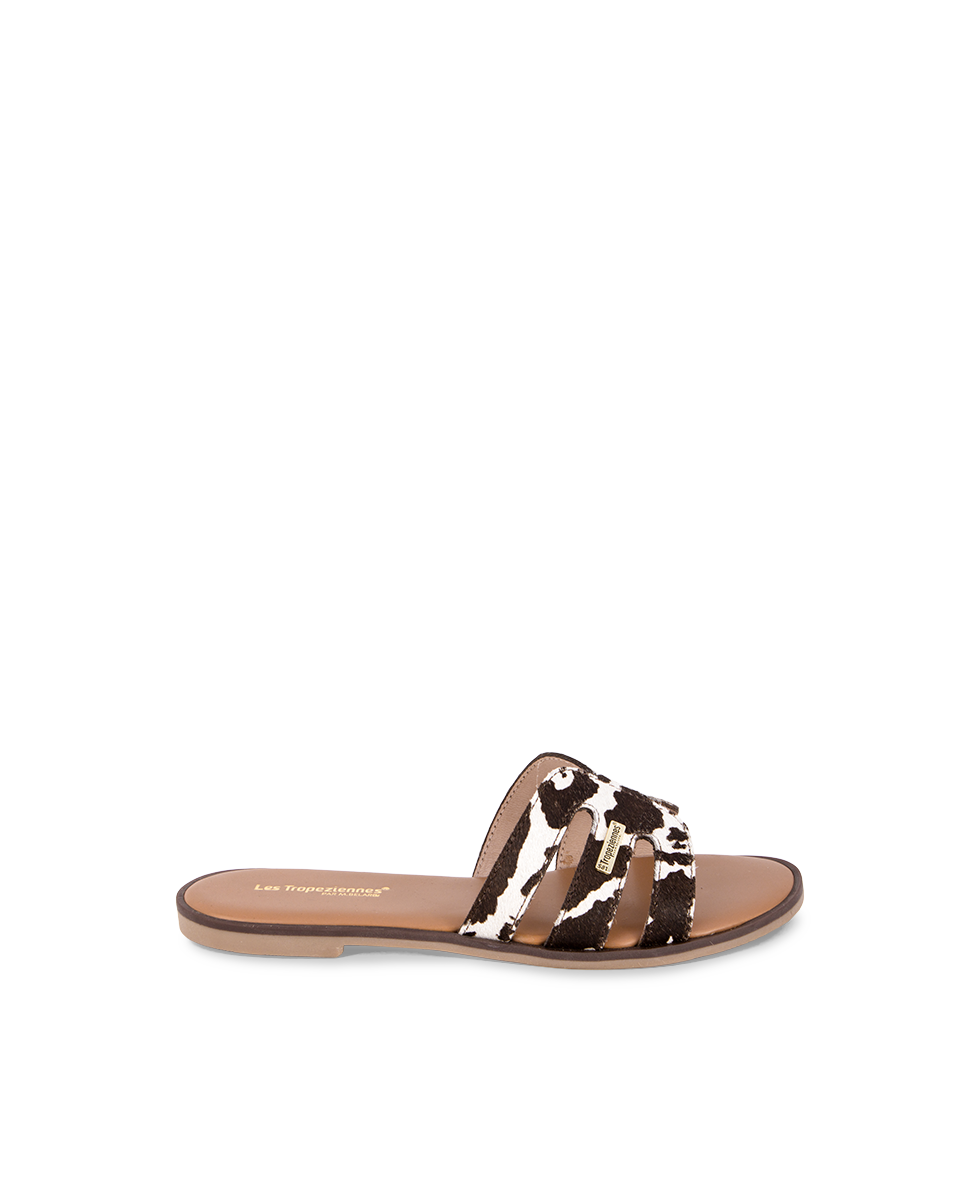 Hamigapo Mules - Cow
