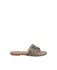 Hamigapo Mules - Zebra