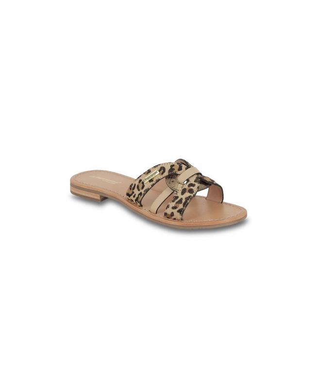 Hamsukopo Mules - Leopard