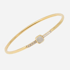 Bracelet Jonc Acier - (SBJ26522-01SEL)