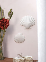 Calypso Shell - White